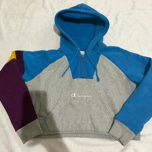 Champion Multicolor Cropped Hoodie with Logo